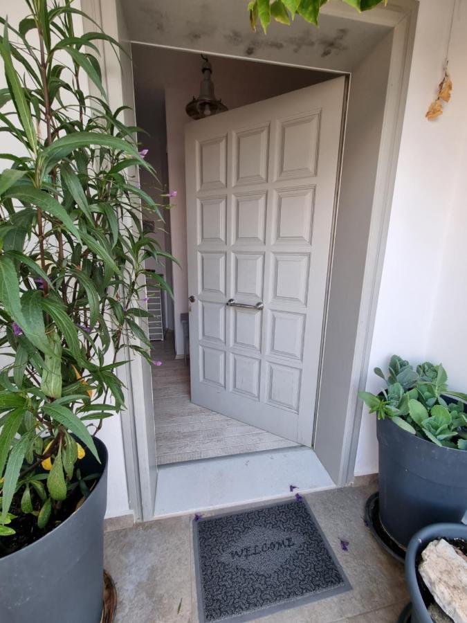 Hara'S Villa In Naousa , Paros Екстер'єр фото